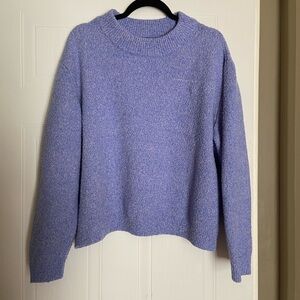 Zara Cozy fuzzy sweater